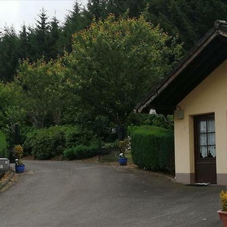 Chalet Rose Villa Burg Reuland Exterior photo