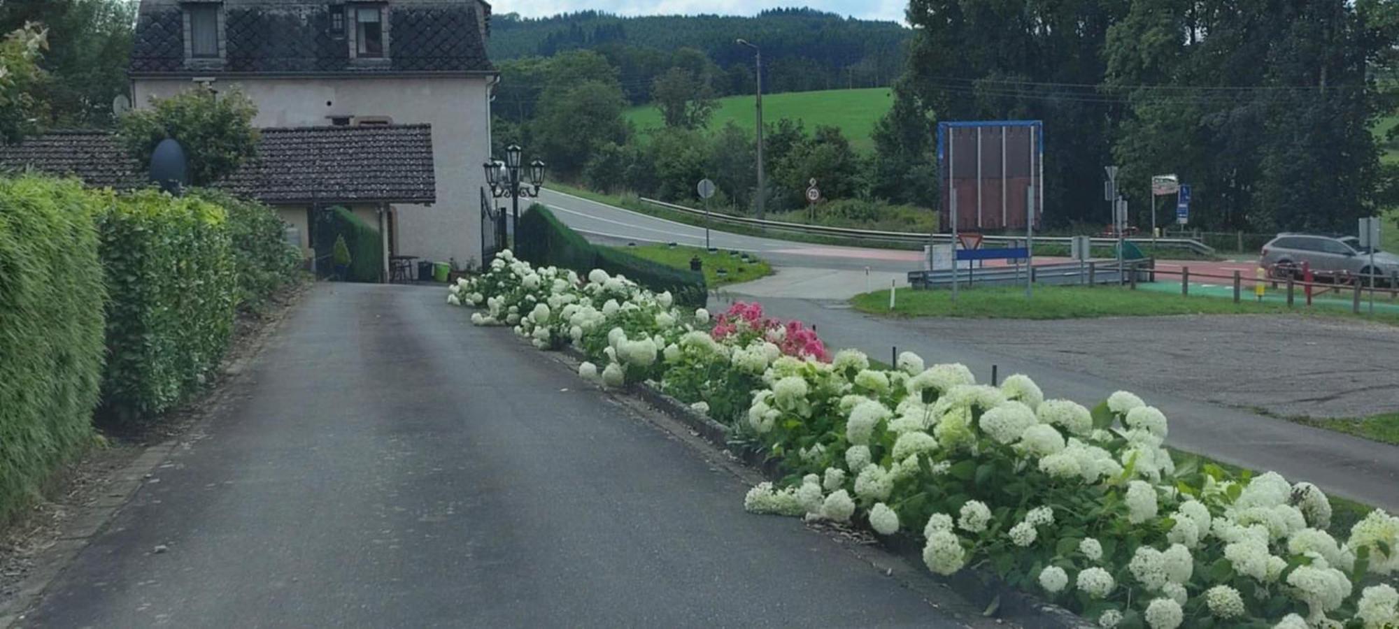 Chalet Rose Villa Burg Reuland Exterior photo